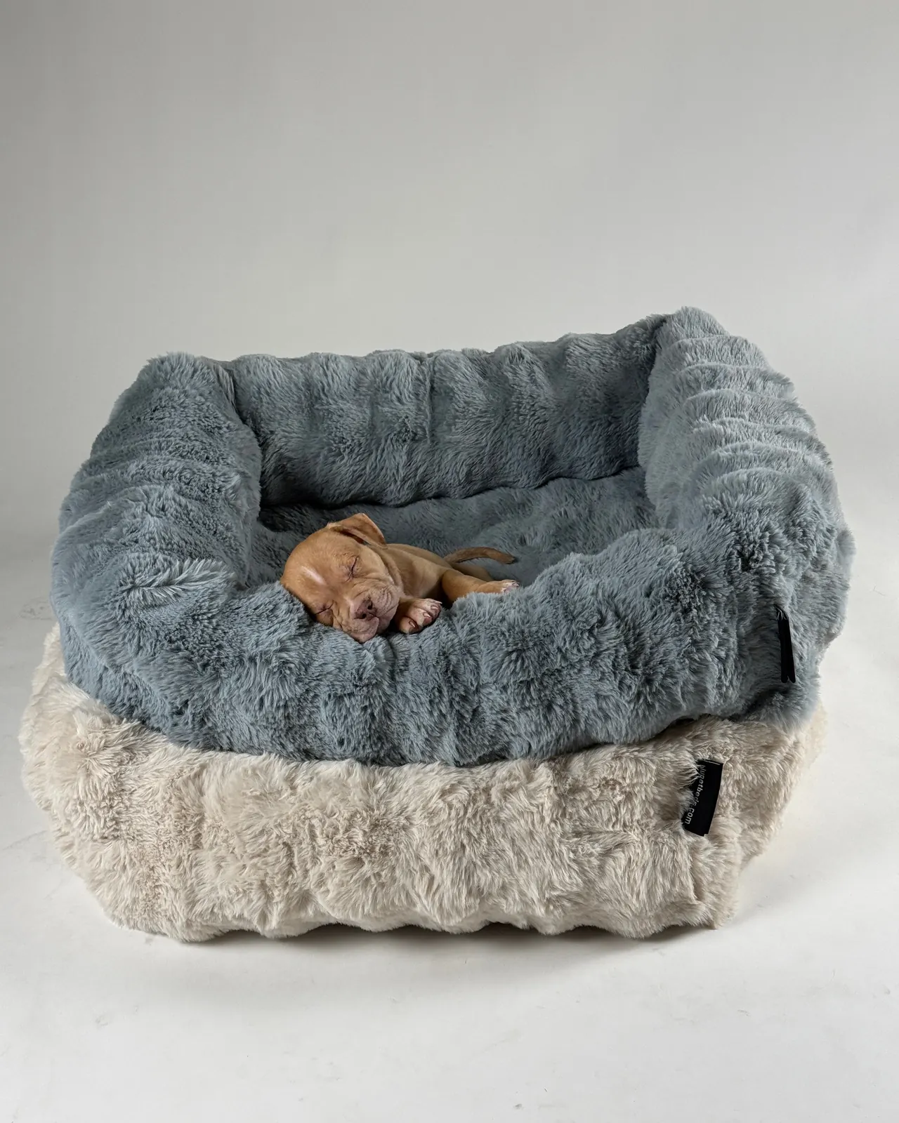 A dog asleep on a slate Bliss Bed.