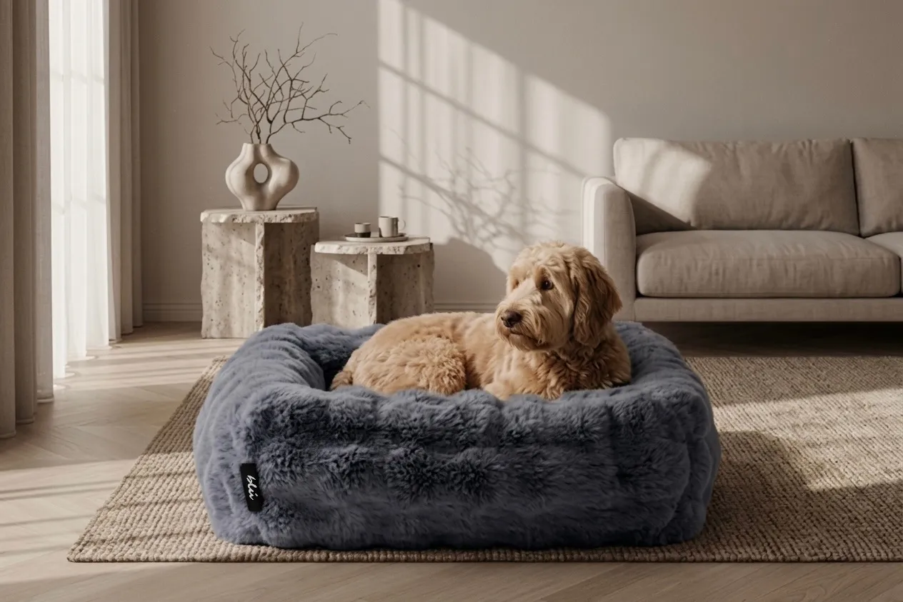 A long-eared golden dog rests on a plush, oat-toned Bliss Bed in a sunlit living room with a deep-red sofa and a woven jute rug.